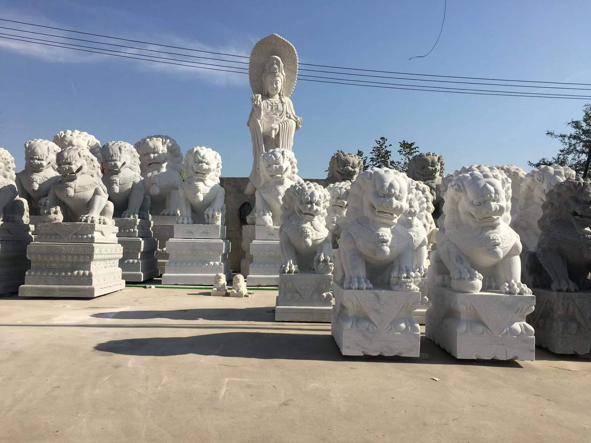 微(wēi)信圖片_20220104184703